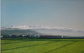 sierra nevada