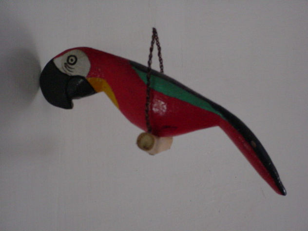 SERIE  GUACAMAYOS