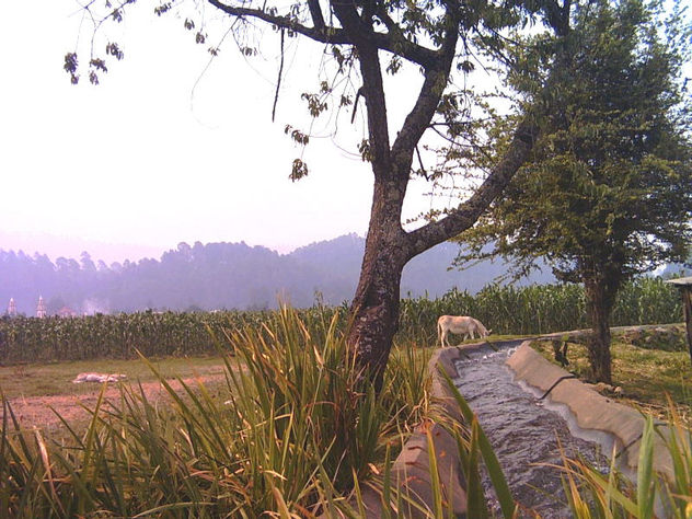 tranquilidad