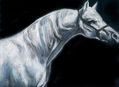 mi caballo