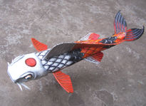 Koi nipon