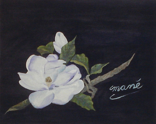 El Despecho de la Magnolia