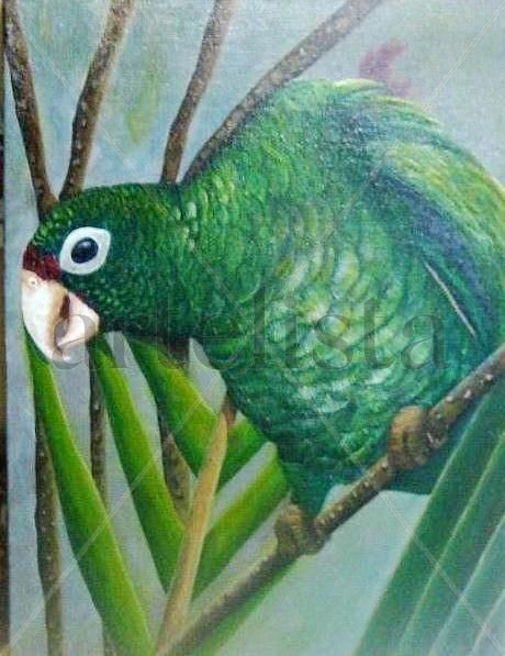 IGUACA