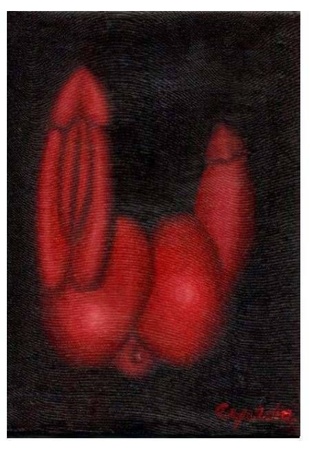 228.ORGANOS,1999