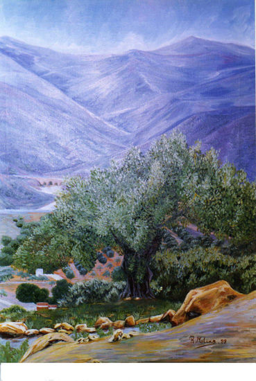 olivo Oil Canvas Landscaping