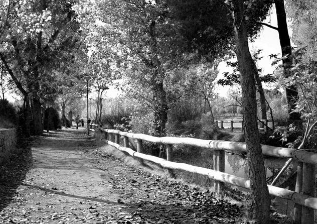 Paseo en Otoño