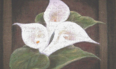 Flores