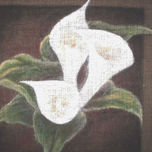 Flores thumbnail 2