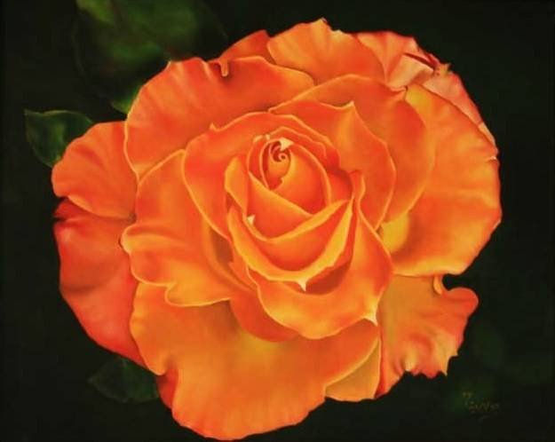 Rosa Naranja Oscura Deep Orange rose Óleo Lienzo Floral