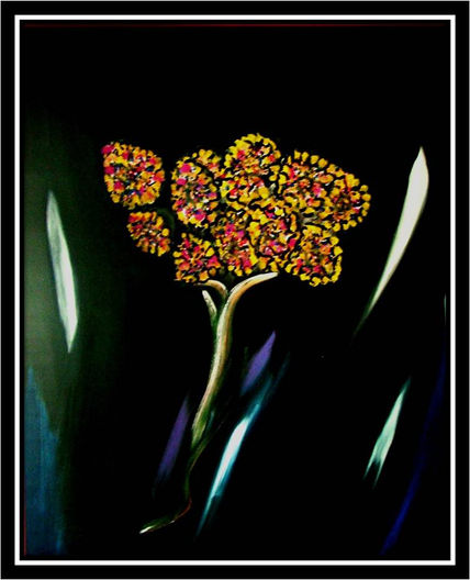 Flor de Noche