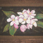 Flores thumbnail 1