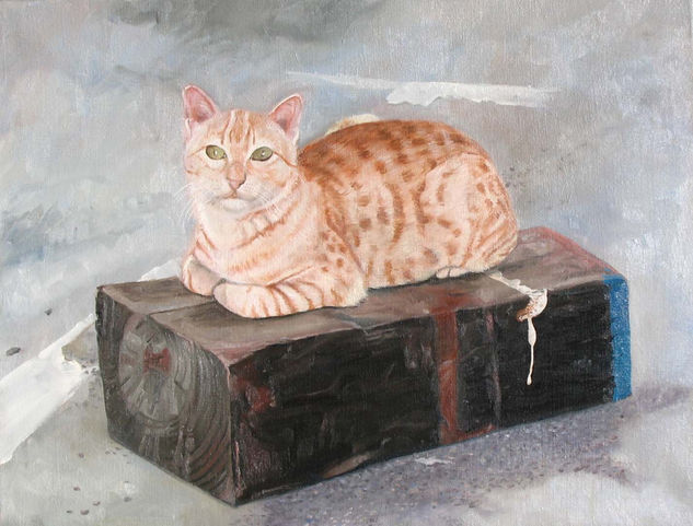 Gato naranja Oil Canvas Animals