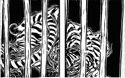 El giro del tigre