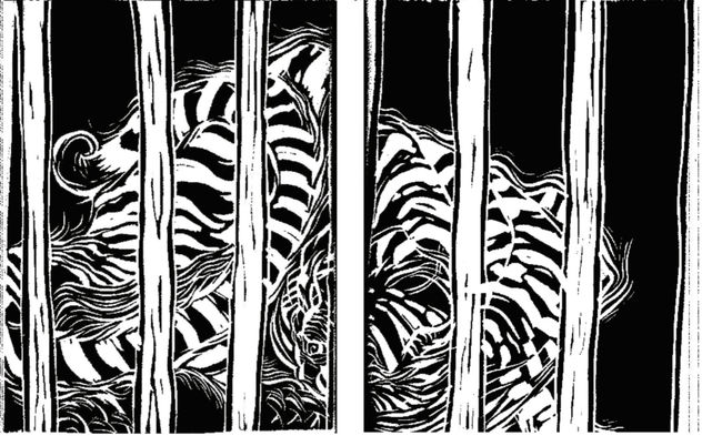 EL GIRO DEL TIGRE