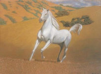 Caballo blanco