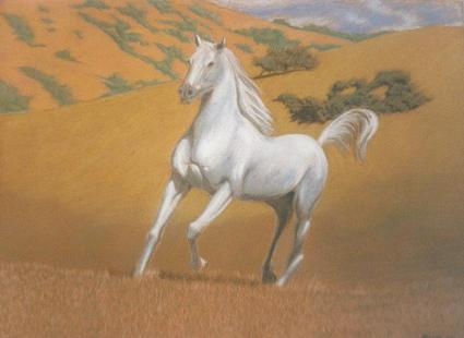 Caballo blanco Pastel Card