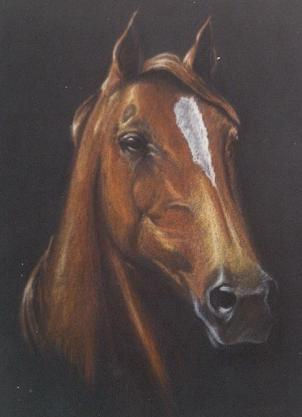 Busto caballo Pastel Card