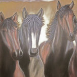 Caballos thumbnail 2