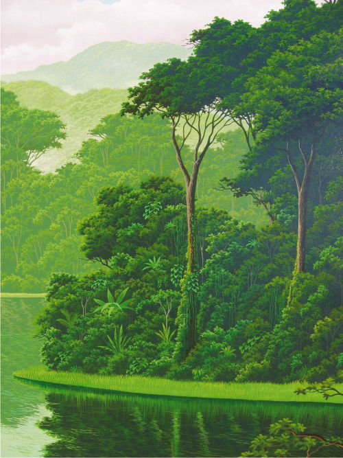 selva esmeralda