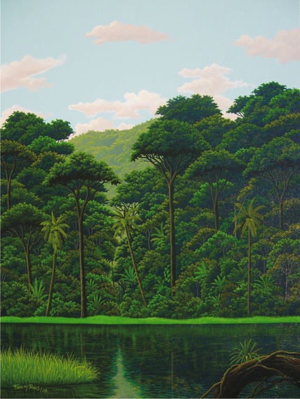 Tortuguero 2