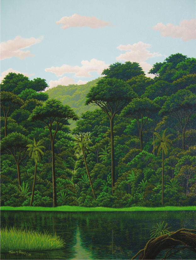 Tortuguero 2