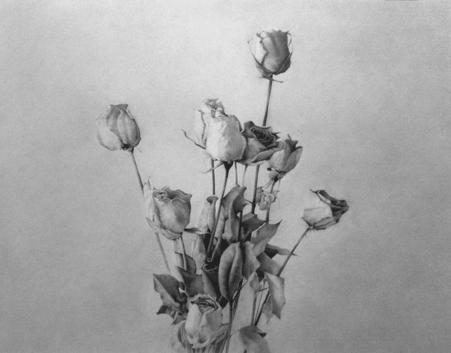 Flores secas Graphite