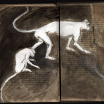 Libros thumbnail 2