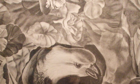 CARBONCILLO