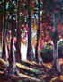 sombras del bosque