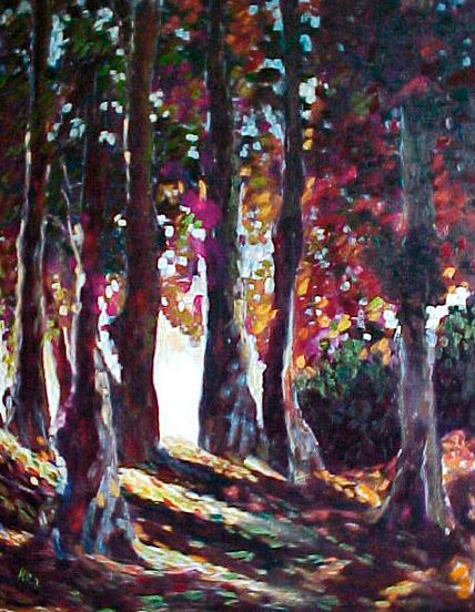 Sombras del bosque