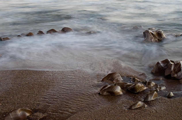 Rocas 