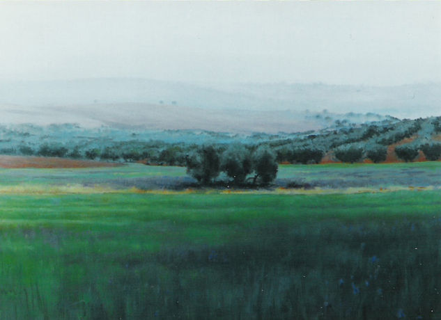 Campos de Bargas Oil Canvas Landscaping