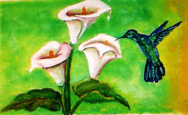 colibri 2