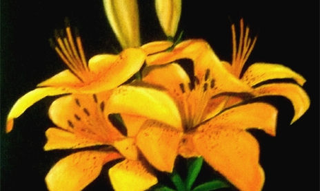Flores