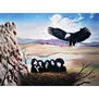 The Eagles
