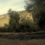 Fotografia Amateur thumbnail 1