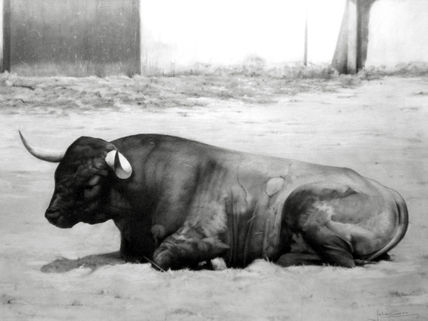 El toro