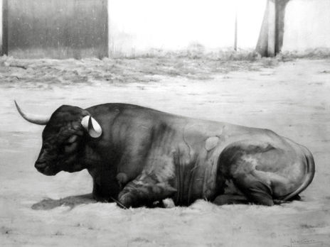 El toro