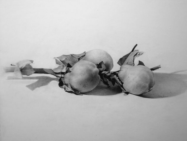 Membrillos Graphite