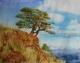 paisaje
