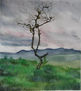 paisaje