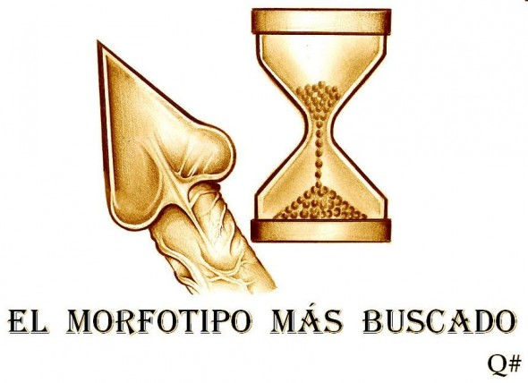 MORFOTIPOS DE MUJER 