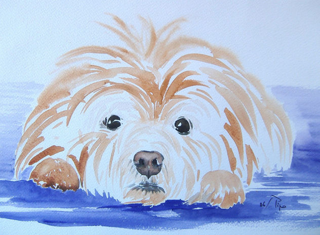 perro peludo