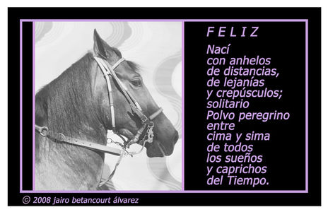 Feliz