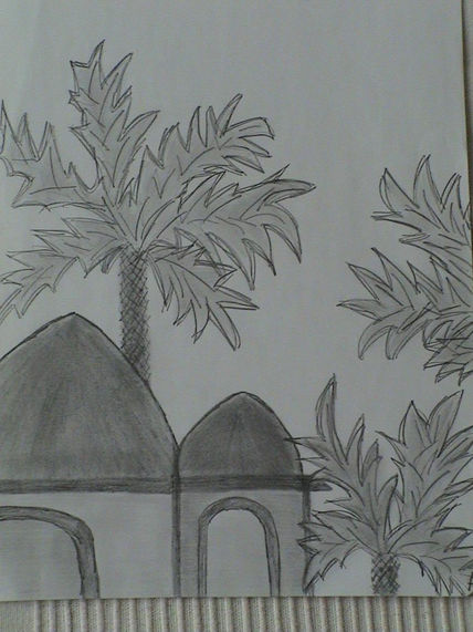 Palmera mexicana