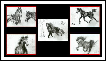Los caballos