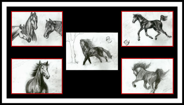 los caballos