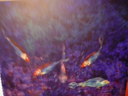 Peces 1