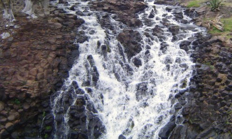 NATURALEZA