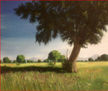 Paisajes1